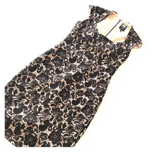 Elegant JAX Dress with Lace Exterior